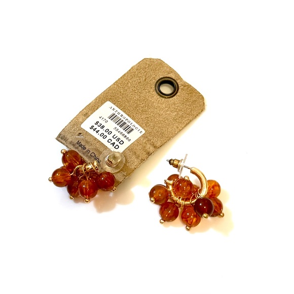Anthropologie Amber Cluster Hoop Earrings - Picture 5 of 5